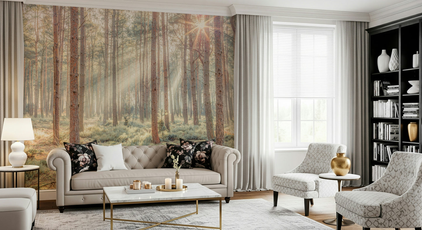 Sunrise's Kiss in the Misty Forest Wall Mural