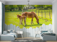 Heartwarming horse and foal mural with tranquil setting

