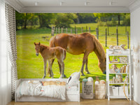 Horse and foal mural in lush green field

