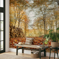 Autumn forest mural wallpaper with logs

