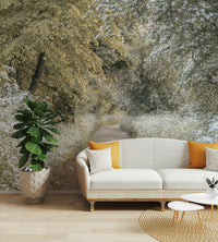 Natural forest path wallpaper for walls

