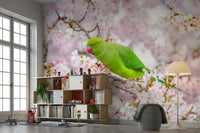 Wallpaper mural of a green parrot among blooming cherry trees.

