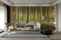 Bluebell forest wallpaper mural

