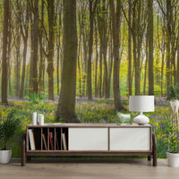 Sunlight through trees mural

