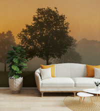 Light morning haze wall mural

