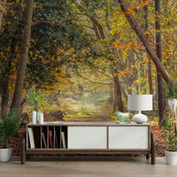 Autumn forest wallpaper mural with soft, natural hues

