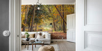 Peaceful autumn forest mural for a warm, cozy atmosphere

