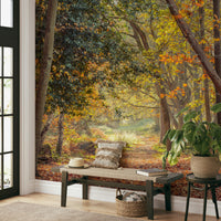 Serene autumn forest path mural with golden fall colors

