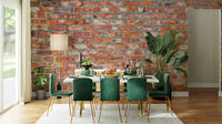 Textured brick mural adding character to walls

