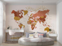 World map mural for classroom or home study

