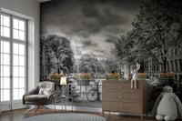Elegant Amsterdam Herengracht skyline wall mural for walls

