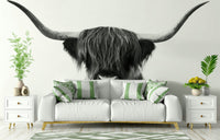 Black‑and‑white close‑up of Highland cow face and horns mural

