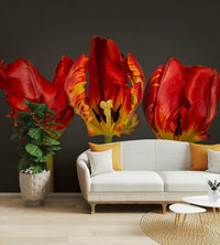 Floral wall mural featuring three vibrant Rococo tulips.


