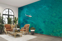 Relaxing turquoise beach scene on your wall

