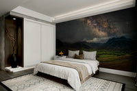 Dark sky mural with Milky Way and star clusters

