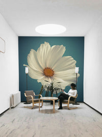 White cosmos bloom against a soft, serene backdrop

