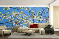 Dogwood tree wallpaper with white blossoms
