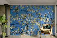 White dogwood blooms in spring setting
