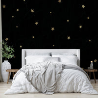 Celestial scene of stars against a deep black sky mural

