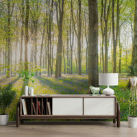 Light-filled forest scene wallpaper bringing nature indoors

