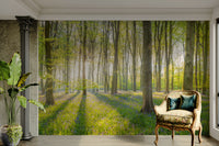 Sunlit forest with dappled light through trees in wall mural

