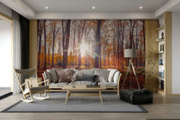 Autumnal Radiance mural wallpaper showcasing fall beauty

