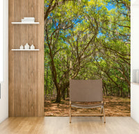 Serene oak tree-lined wallpaper
