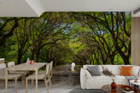 Spanish moss hanging from oak trees
