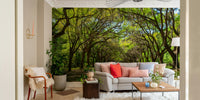 Peaceful tree-lined wallpaper scene
