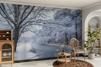 Tranquil winter landscape wallpaper for homes