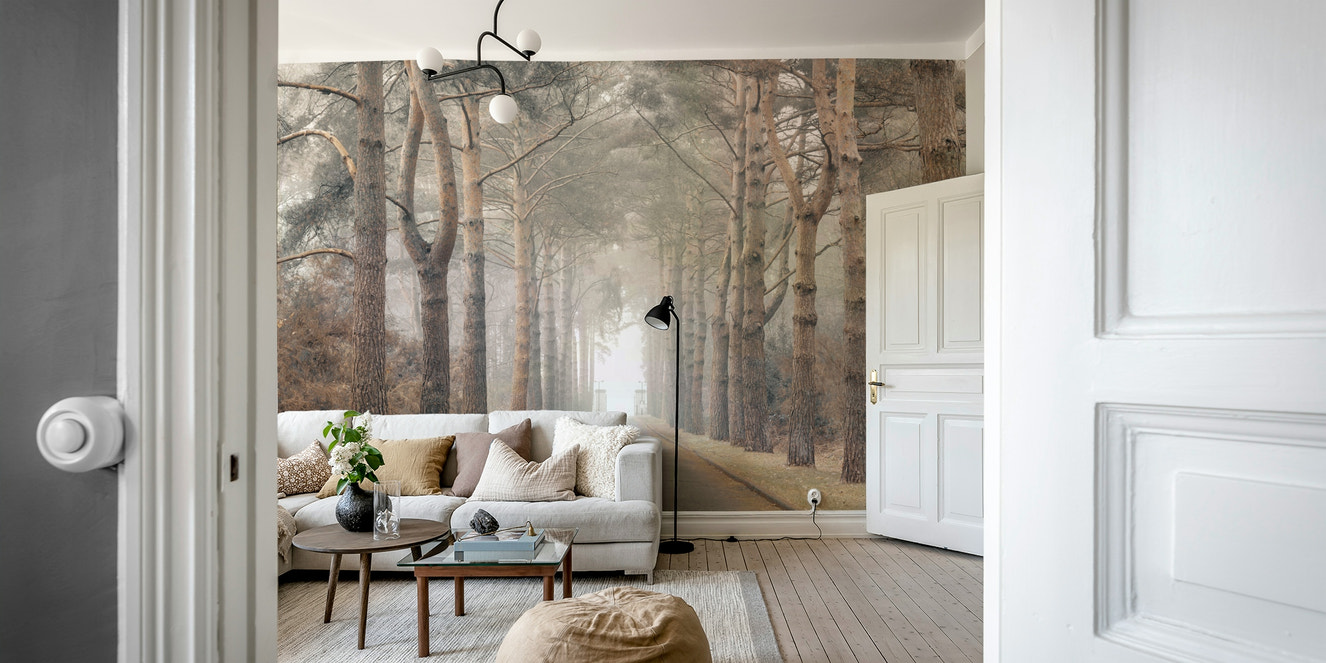 Forest path wall mural design

