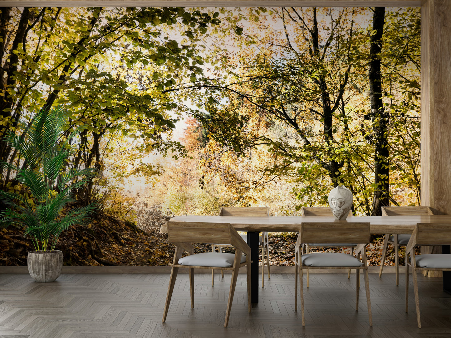 A winding path leads through a stand of tall trees.

