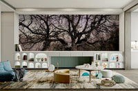 stark contrast of a tree against the sky

