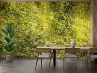 Serene blurred greenery mural
