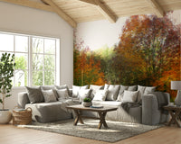 Fall tree photography wall mural

