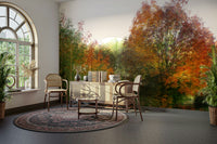 Red and gold leaves mural
