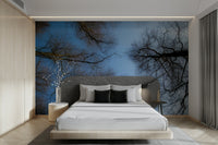 Seasonal forest canopy mural
