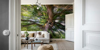Majestic tree mural wallpaper
