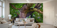 Soft light through tree canopy mural
