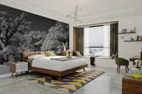 Bold tree scene wallpaper
