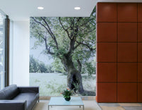 Strong oak tree mural design
