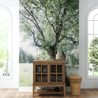 Rustic nature scene wall mural
