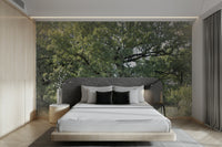 Serene oak wall mural design
