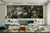 Quiet oak tree scene wallpaper
