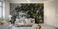 Open sky and trees mural design
