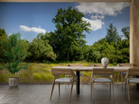 Nature view mural for interiors
