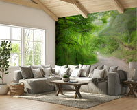 Calm forest path wall backdrop
