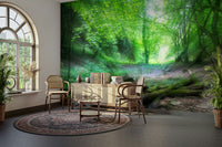 Tranquil outdoor-inspired wall art
