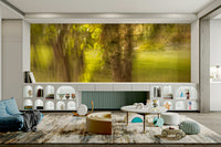 Abstract shapes of tree trunks and branches are visible in soft focus.

