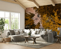 Evening sky and leaves wall mural
